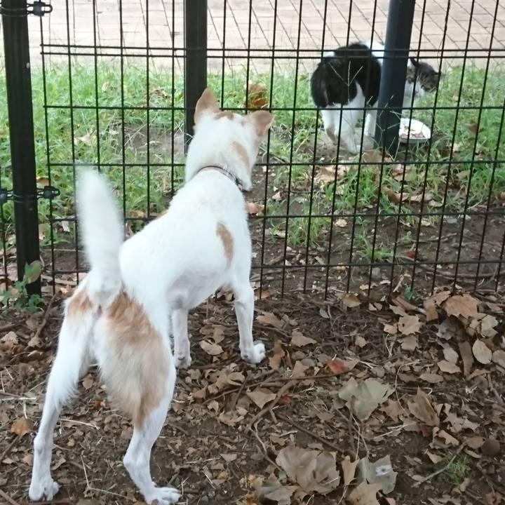 54484c56 6d7c 4ecd 87ad 839c1fe68956 1569813501333