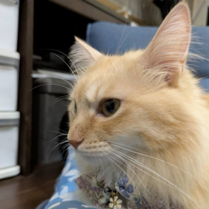 544869ee 8bf8 42f7 96b9 4ce3c765af45 1759918240192