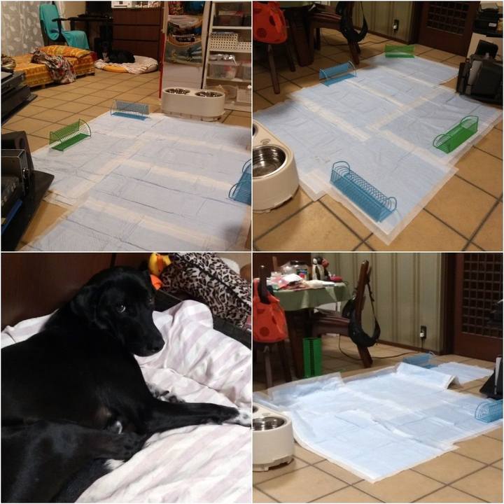 5448d93b da69 4f37 bad9 19e78e4a7c08 1583422257403