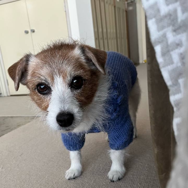 5448dc0f 526d 466f ba66 b1153c529061 1742631030056