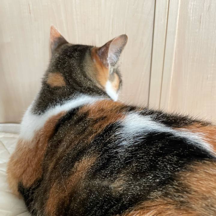 544931f6 e613 4463 98f9 caea376c7dbb 1652507187787