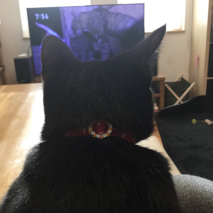 544941d2 3add 4e64 82ad dcdba5b35779 1519775111619