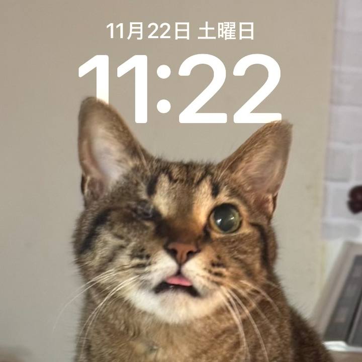 544966e8 706f 4a16 8691 9f6140db7e65 1763780734440