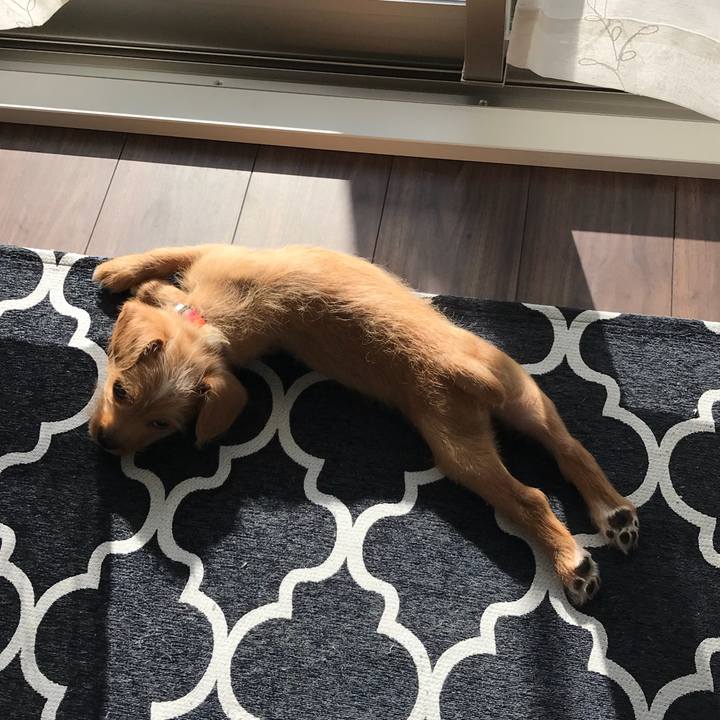 54497862 9fdd 47c2 a0e3 dd588df6d229 1518052902367