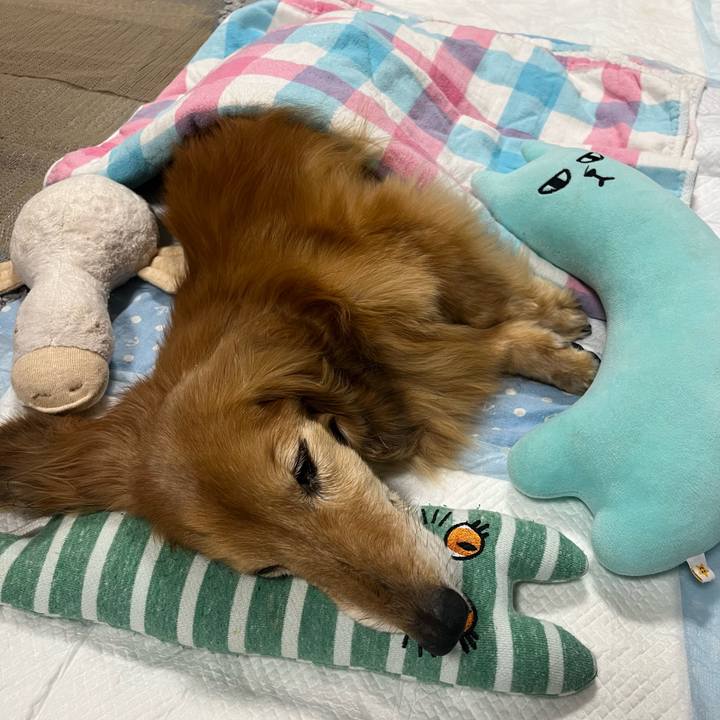 5449878d 069c 4951 9a03 ac54df63afce 1685195034858