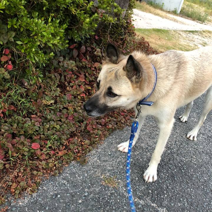 5449add4 116f 4e6b 8938 115edd95ab25 1535455040302