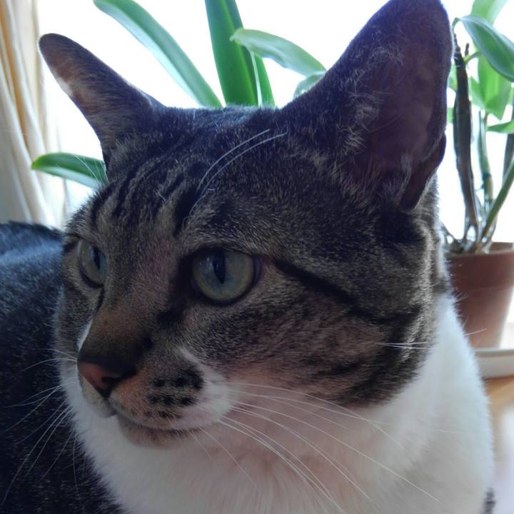 544a2181 3fdf 4cbb b017 01e724a1ce13 1516313291653