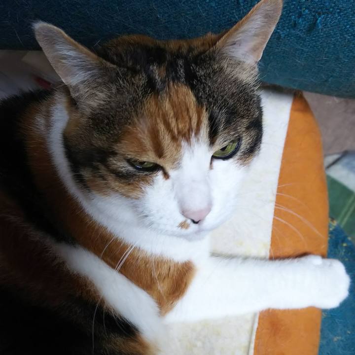 544a35f6 5015 4c23 9dad 65ec5a2474ae 1562463393751