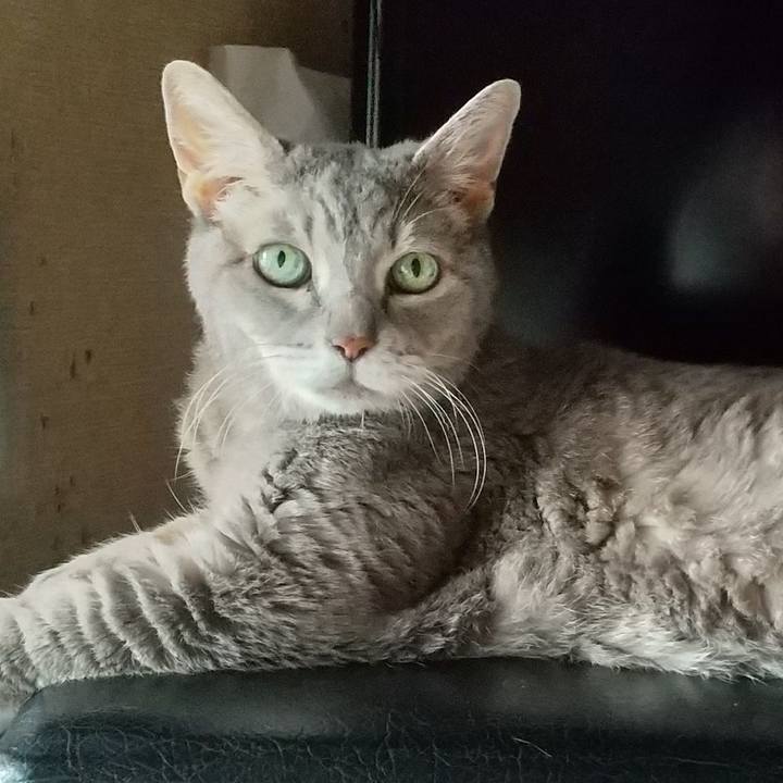 544a4bba af19 40b6 90f0 fc4d43dddede 1693954450705