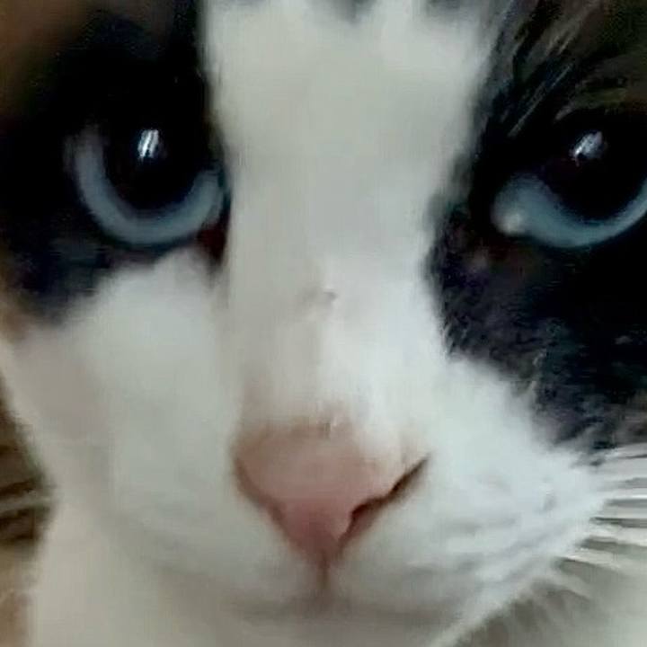 544a6f90 8d70 486f 958f 4dd45a795376 1746756078909