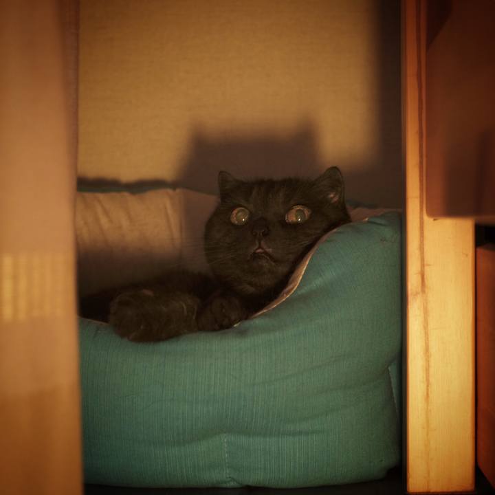 544a72bf bbee 49da bf85 6cbc7784a264 1627390626646