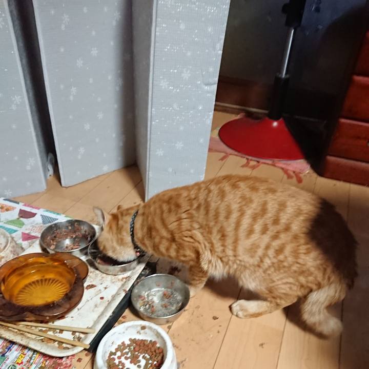 544a8fa7 2ac6 4571 b5e9 81a4345faf32 1649451751643