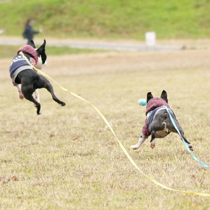 544acad6 32d7 4f31 a43d cd8a2521f45d 1514695560821