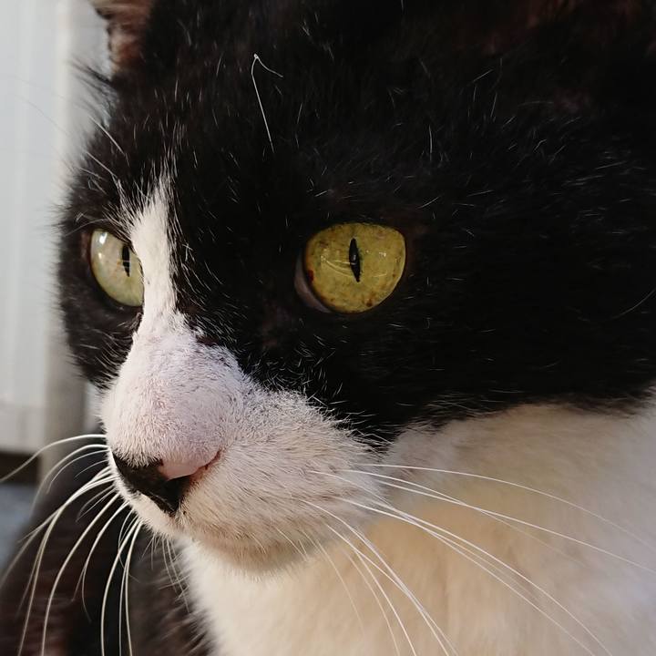 544adf7b 38ef 4f7f b7f5 98129f982bb2 1601786073093