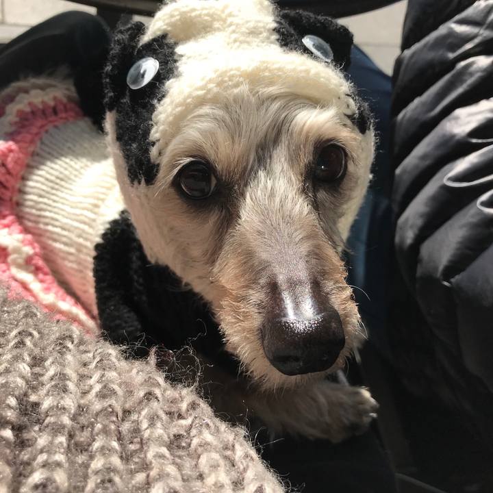 544ae096 d2a7 4085 8925 061398bbed46 1515226730771