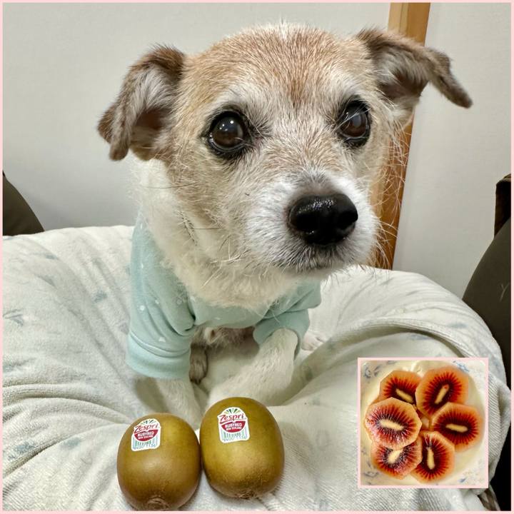 544aee71 2f48 4491 b3b2 d7eec9cbbbae 1714383939115