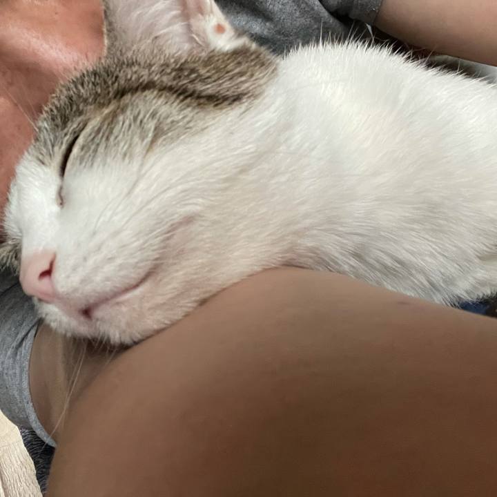 544ba01d e0e7 4cc0 b90e f6b8fe427467 1624783867677