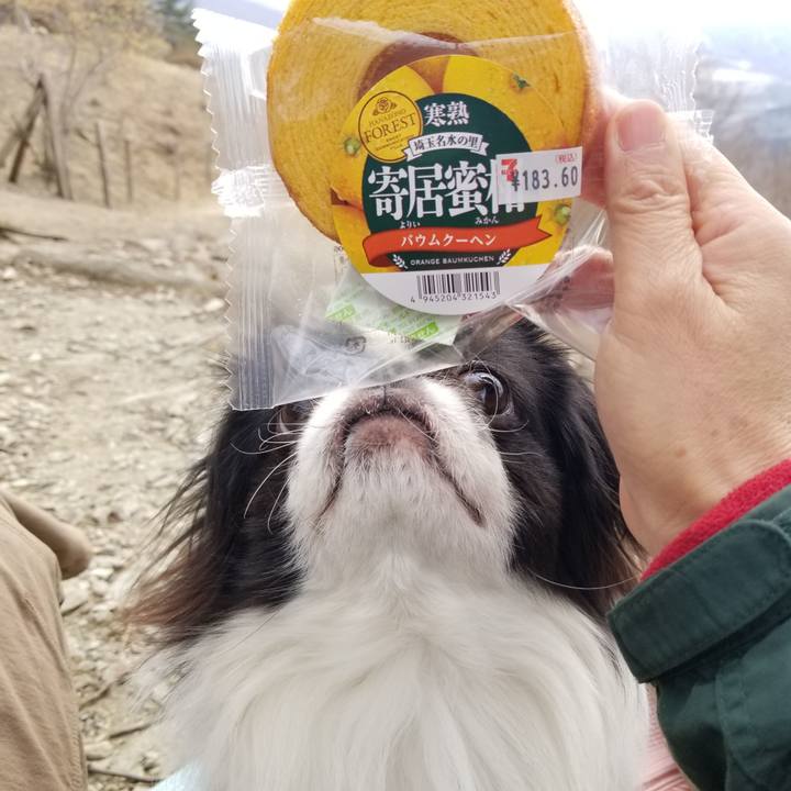 544ba758 5772 40a6 8609 56860d1d3f12 1646901715316