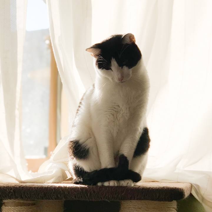 544bb468 1f02 4aac bf54 b782ec2e5d2f 1575165615975