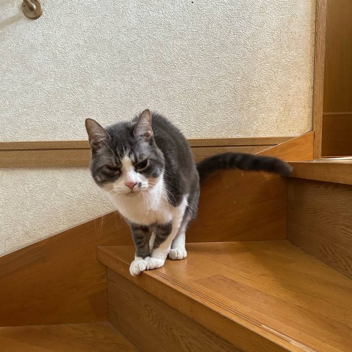 544bd4a4 9014 4299 a4a1 97cd35b21a69 1773528337529