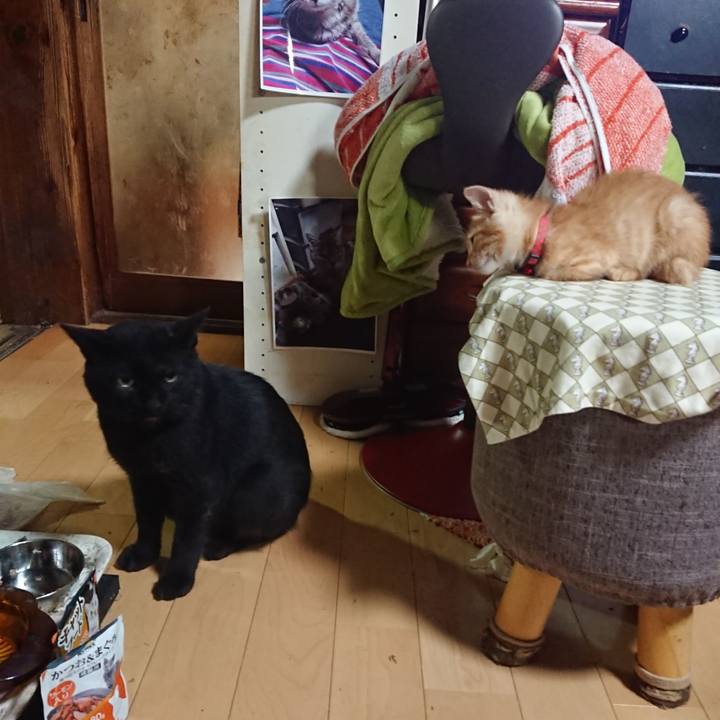 544bee97 6beb 473c ae02 0925b2c389af 1628164224145