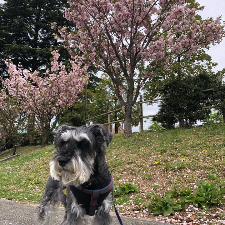 544bf7b6 52f1 45f2 b33a 9007ba227acf 1682047507264