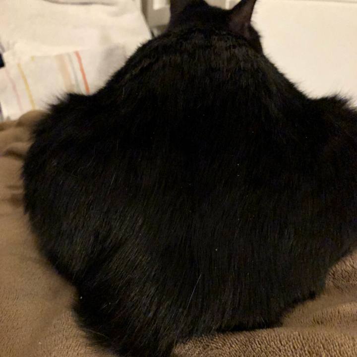 544c210e 48bf 4cb1 b806 d5ec37166480 1525952764154