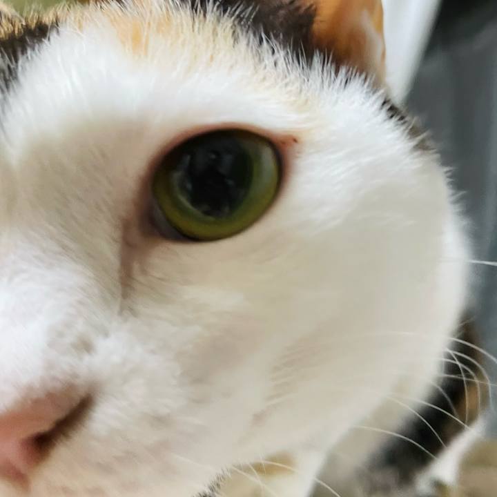 544c52bd b27e 4b31 a0f2 591bb5b94983 1639189546041