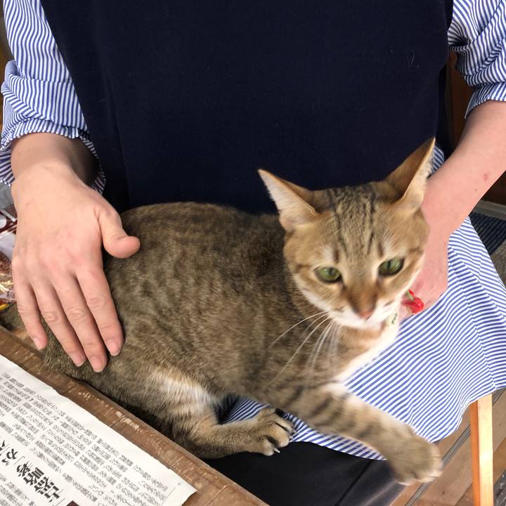 544c5e1d 2b11 4b3f 834a 32d8bdb00846 1670125456278