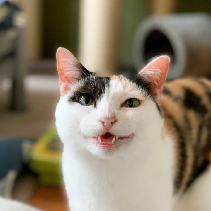 544c8113 43a3 401f 9ad3 7507950ddb02 1564795234844