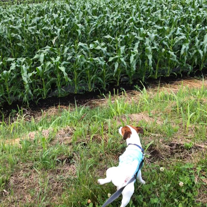 544c9899 57f2 48b0 a66a ab64aaf71695 1528802076998