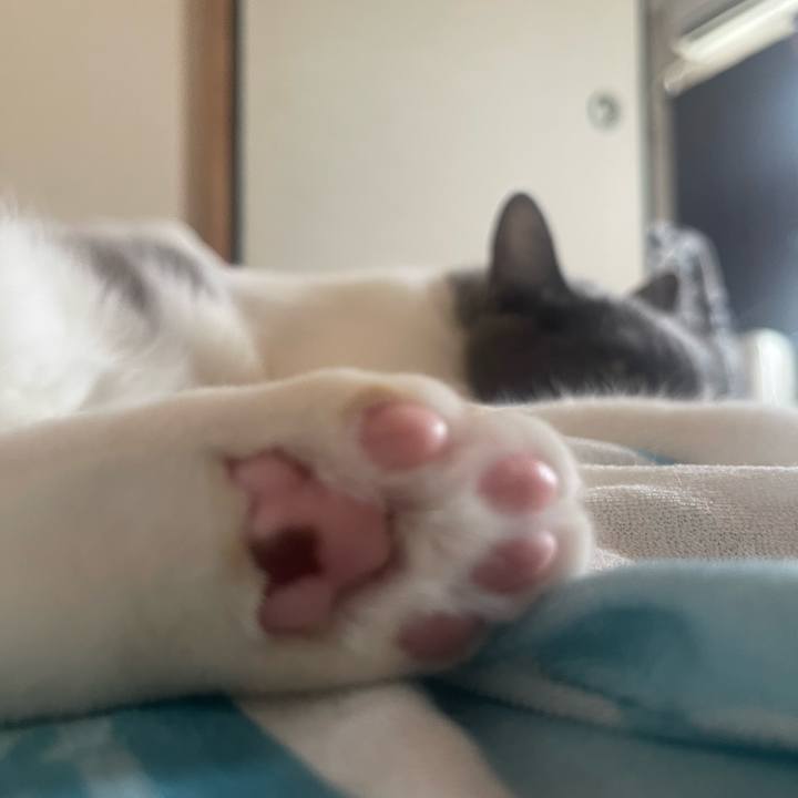 544ccf67 a014 49ff b523 981ae7bcd0ba 1691472640272