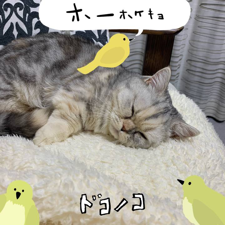 544cd03b 0efb 4d89 ab13 90f0d9c99114 1711547266824