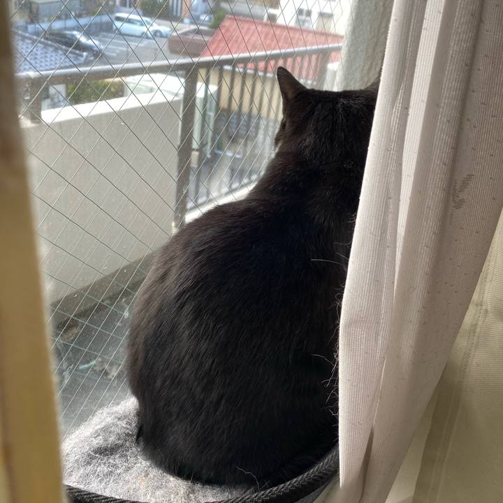 544cf248 66b4 4fbf b913 9ed85a51fb42 1704005851745