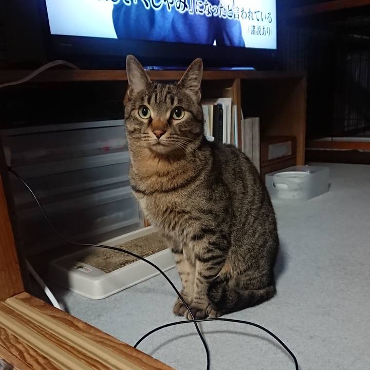 544d0468 1cde 4c0a 9c64 641d39a580b3 1554914071253