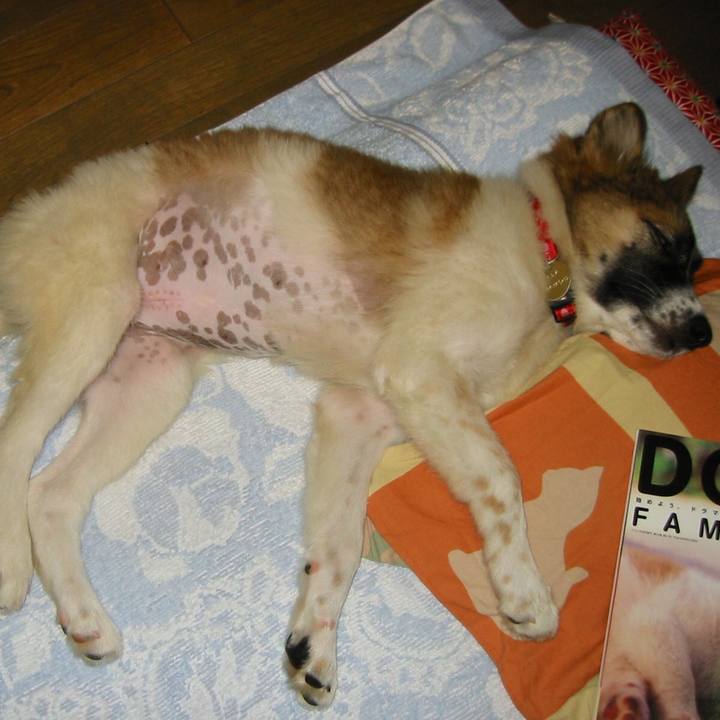 544d059b aa55 41b5 bd9e 74b35e372bfc 1546594056986