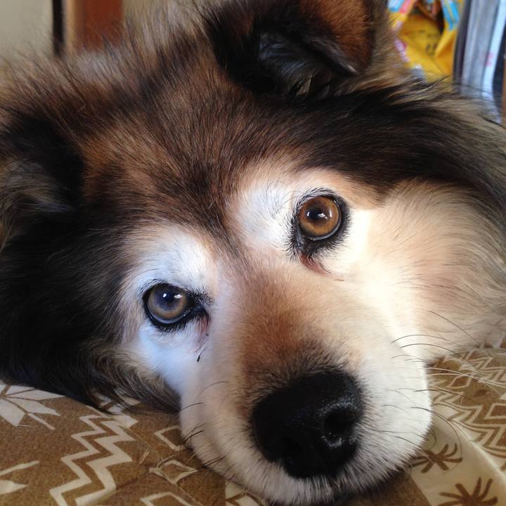 544d1ad4 ff6f 4b37 b222 b945ddb57fd0 1550563578171