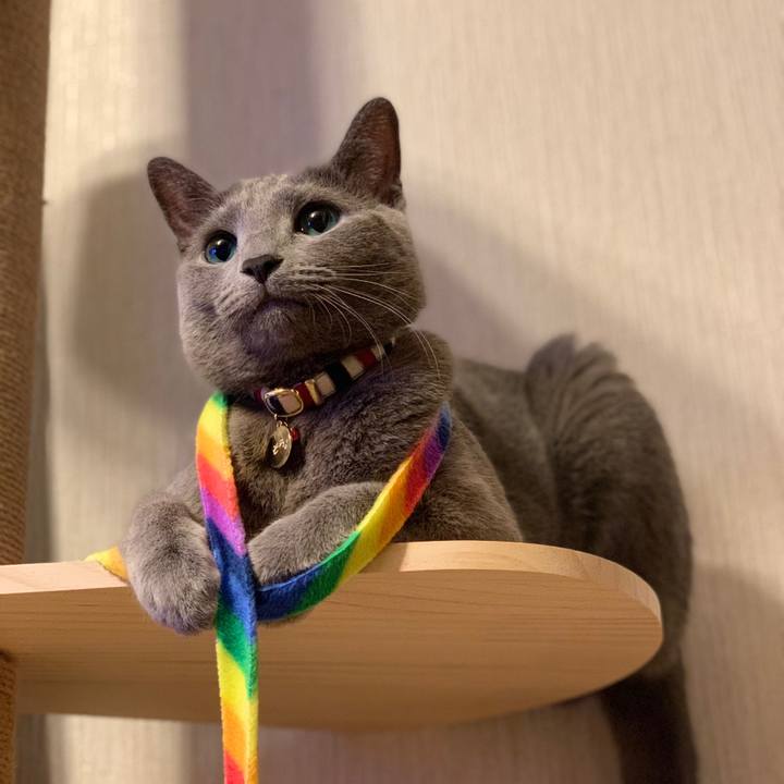 544d3ba3 8efe 4eb0 8d27 05a2bfb206d8 1622845974610