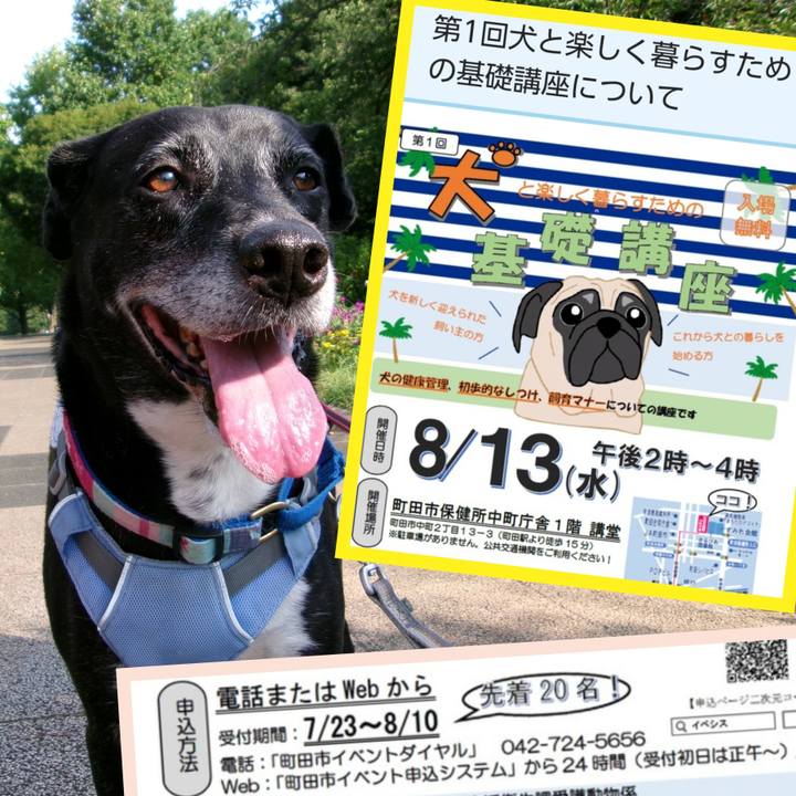 544d3cef af4f 40d2 b516 f82717a599d5 1754534884292