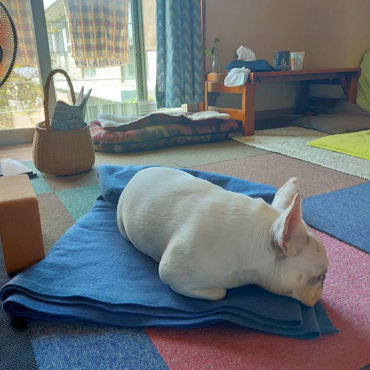 544d6c7c db3b 4026 b110 1b22ee678038 1664069324131