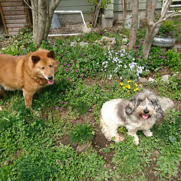 544d6e35 fce1 4683 9ba3 63f8df510fae 1556866311039