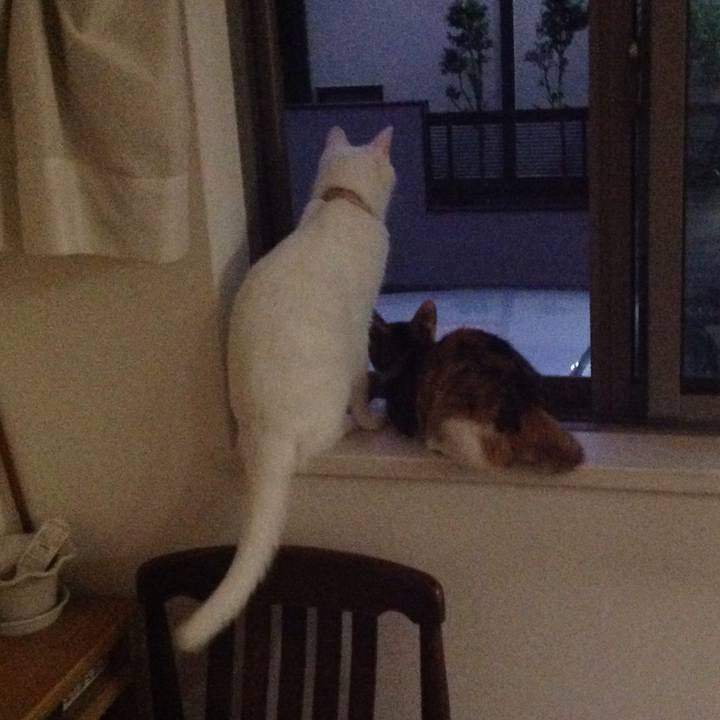 544d7cb0 f8ca 4d93 9086 e8e260ac2fac 1630095143582