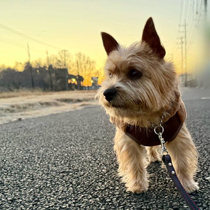 544d8d4c 60b2 45f9 9e58 9a57e9625198 1770716938289