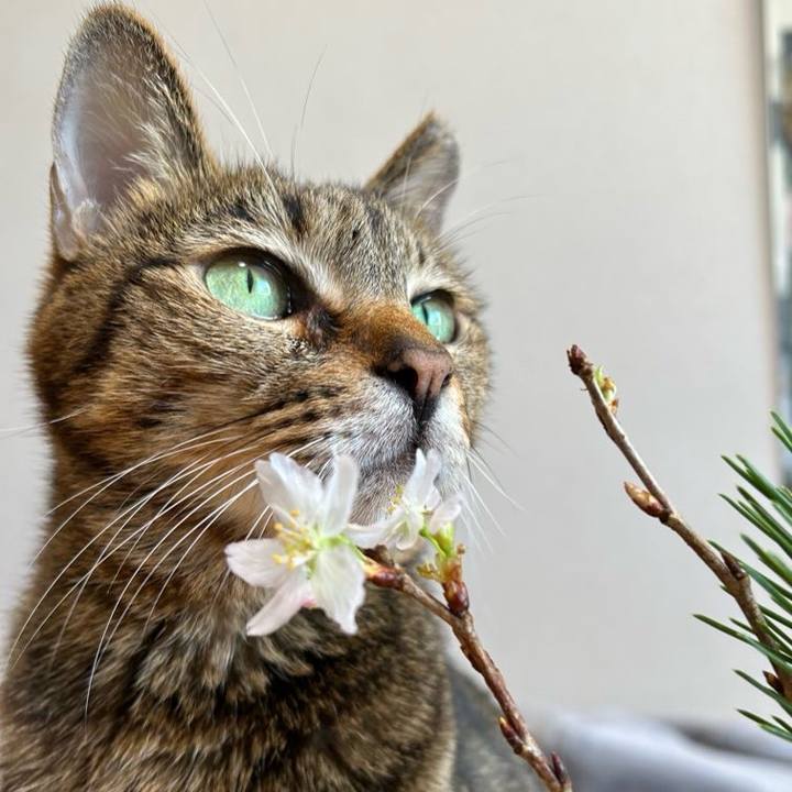 544d9357 dab6 4c91 8b85 e7acb8810e21 1735786186312