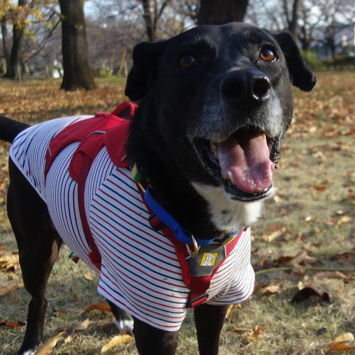 544dc4b9 675b 48bf 9cf9 94f0985c1dcf 1670119891091