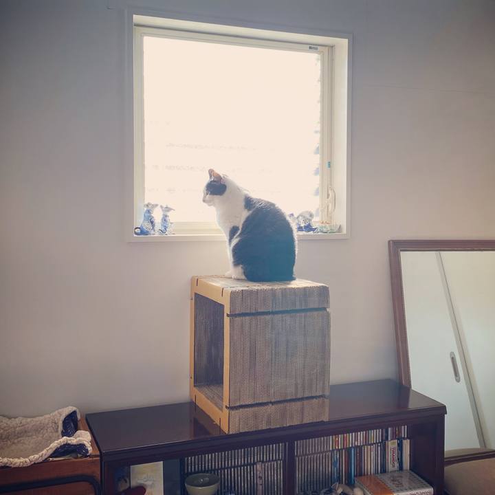 544dcabb 469a 4a8a 80dc e99b2dc30c43 1578898048225