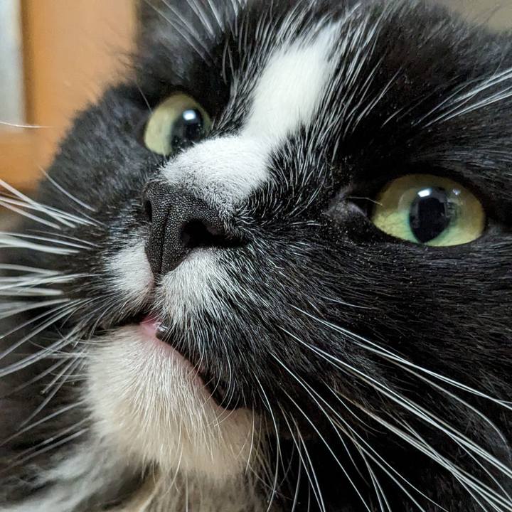 544dd3e1 2da3 4abd a341 dc4a5f77181f 1697416929869