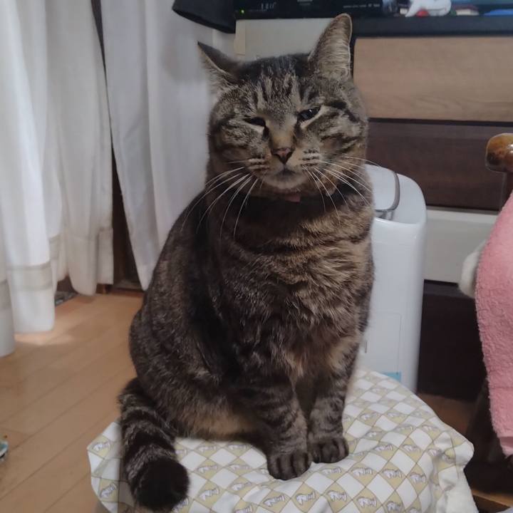 544ddb49 7f28 4b1f 8127 35d103378ae6 1712527014370