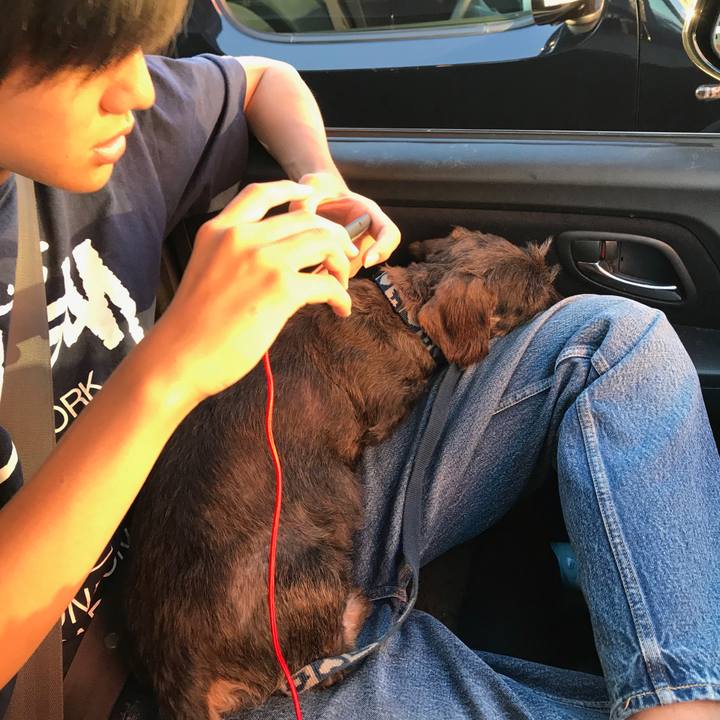 544ddbd6 9c4e 457d b1c9 127c50982a25 1529141423628