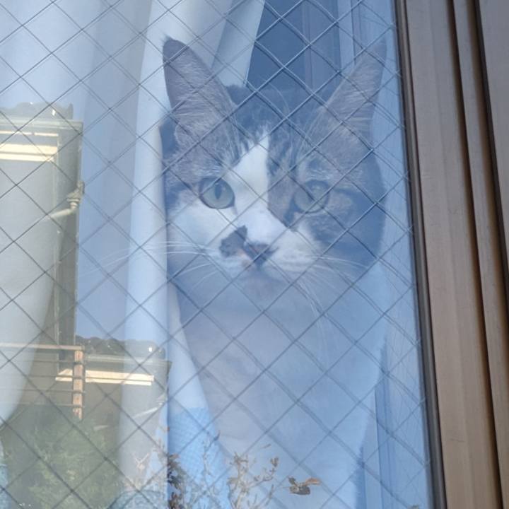 544de676 3006 4f12 ae85 02054d67984a 1697066294819